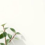  Nature inspired mobile wallpaper.